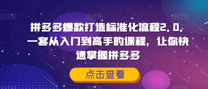 拼多多爆款打造标准化流程2.0，一套从入门到高手的课程，让你快速掌握拼多多-网创先锋