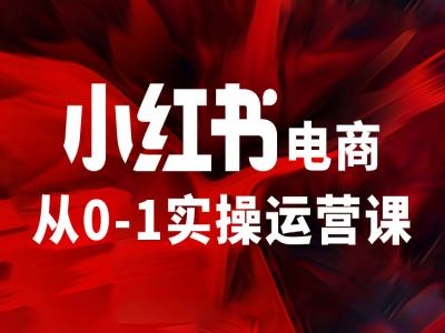 小红书电商从0-1实操运营课，让你从小白到精英-网创先锋