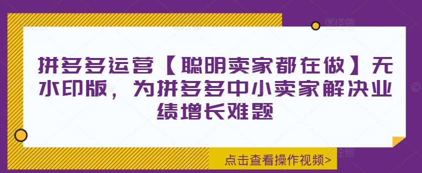 拼多多运营【聪明卖家都在做】无水印版，为拼多多中小卖家解决业绩增长难题-网创先锋