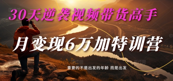 30天逆袭视频带货高手，单月变现6万加特训营-麦子甜-网创先锋