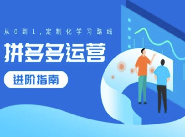 拼多多运营进阶指南，从0到1定制化学习路线-网创先锋