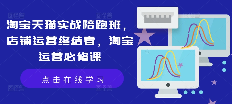 淘宝天猫实战陪跑班，店铺运营终结者，淘宝运营必修课-网创先锋