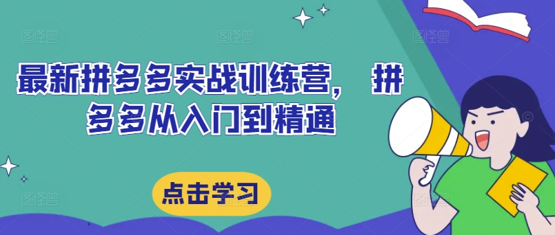 最新拼多多实战训练营， 拼多多从入门到精通-网创先锋