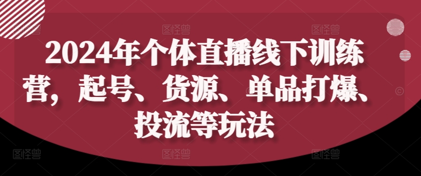 2024年个体直播训练营，起号、货源、单品打爆、投流等玩法-网创先锋