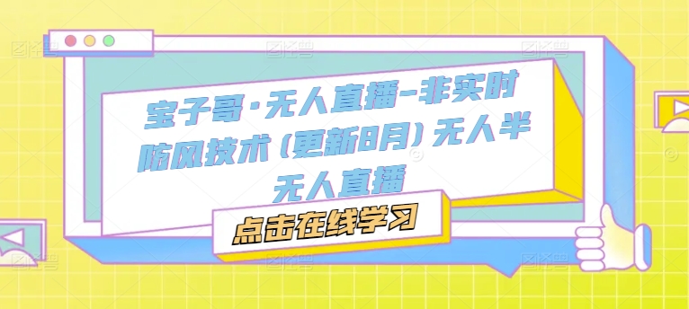 宝子哥·无人直播-非实时防风技术(更新8月)无人半无人直播-网创先锋