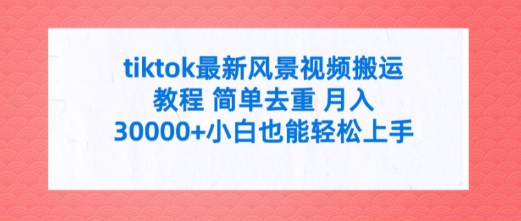 tiktok最新风景视频搬运教程 简单去重 月入3W+小白也能轻松上手【揭秘】-网创先锋
