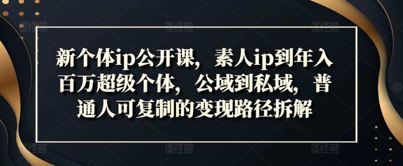 新个体ip公开课，素人ip到年入百万超级个体，公域到私域，普通人可复制的变现路径拆解-网创先锋