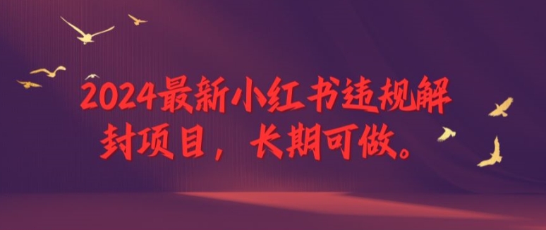 2024最新小红书违规解封项目，长期可做，一个可以做到退休的项目【揭秘】-网创先锋