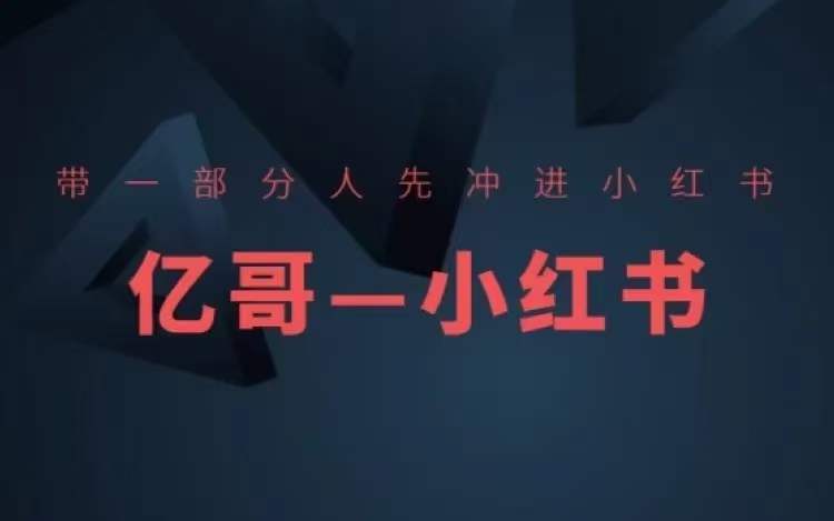 ​​带一部分人先冲进小红书，小红书开店、选品、爆款裂变-网创先锋