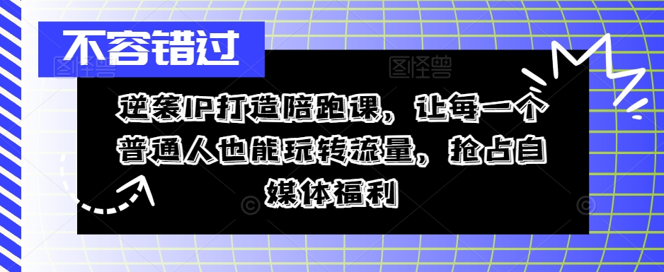 逆袭IP打造陪跑课，让每一个普通人也能玩转流量，抢占自媒体福利-网创先锋