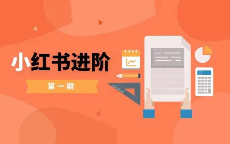 小红书进阶篇，零基础小白实战课，普通人变现的课程-网创先锋