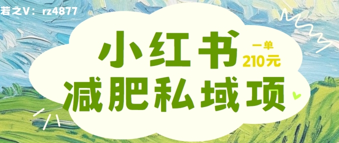 小红书减肥粉，私域变现项目，一单就达210元，小白也能轻松上手【揭秘】-网创先锋