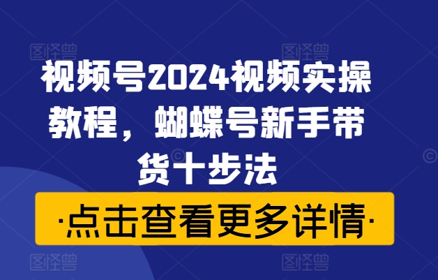 视频号2024视频实操教程，蝴蝶号新手带货十步法-网创先锋
