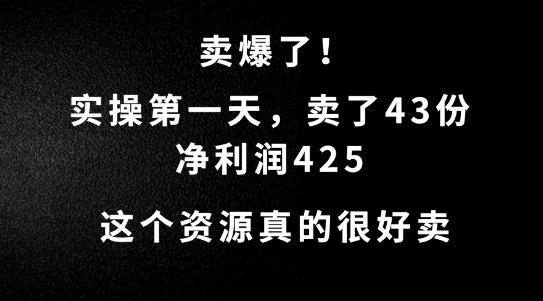 这个资源，需求很大，实操第一天卖了43份，净利润425【揭秘】-网创先锋
