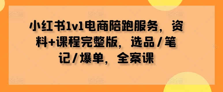 小红书1v1电商陪跑服务，资料+课程完整版，选品/笔记/爆单，全案课-网创先锋