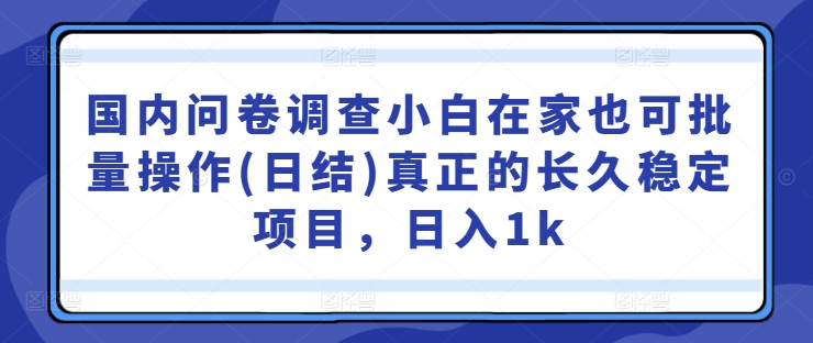 国内问卷调查小白在家也可批量操作(日结)真正的长久稳定项目，日入1k【揭秘】-网创先锋