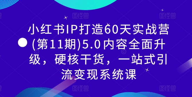小红书IP打造60天实战营(第11期)5.0​内容全面升级，硬核干货，一站式引流变现系统课-网创先锋