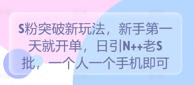 S粉突破新玩法，新手第一天就开单，日引N++老S批，一个人一个手机即可【揭秘】-网创先锋