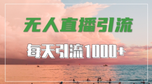 抖音快手视频号全平台通用，无人直播引流法，超暴力引流1000+高质量精准创业粉【揭秘】-网创先锋