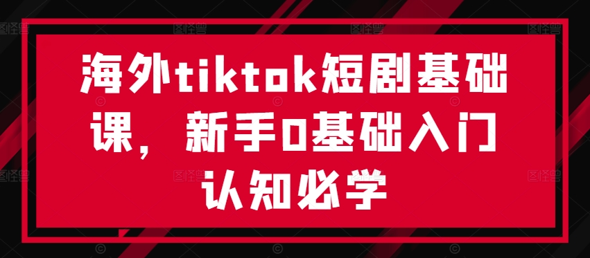 海外tiktok短剧基础课，新手0基础入门认知必学-网创先锋
