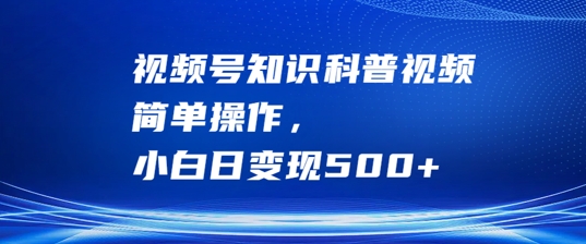 视频号知识科普视频，简单操作，小白日变现500+【揭秘】-网创先锋