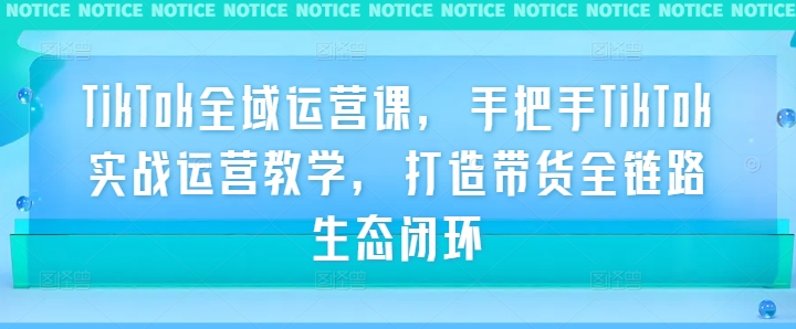 TikTok全域运营课，手把手TikTok实战运营教学，打造带货全链路生态闭环-网创先锋