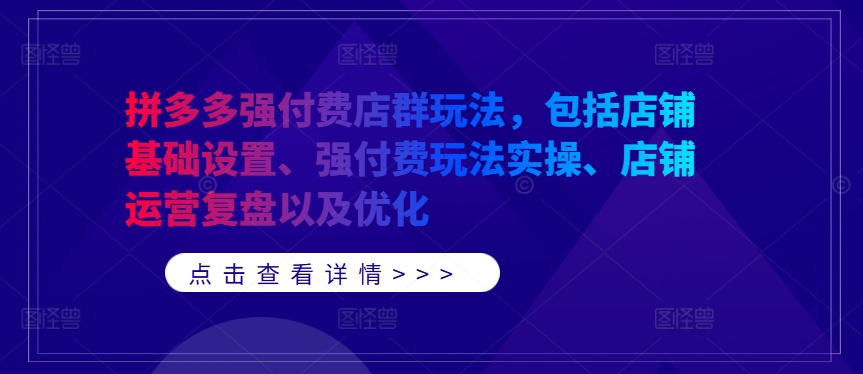 拼多多强付费店群玩法，包括店铺基础设置、强付费玩法实操、店铺运营复盘以及优化-网创先锋