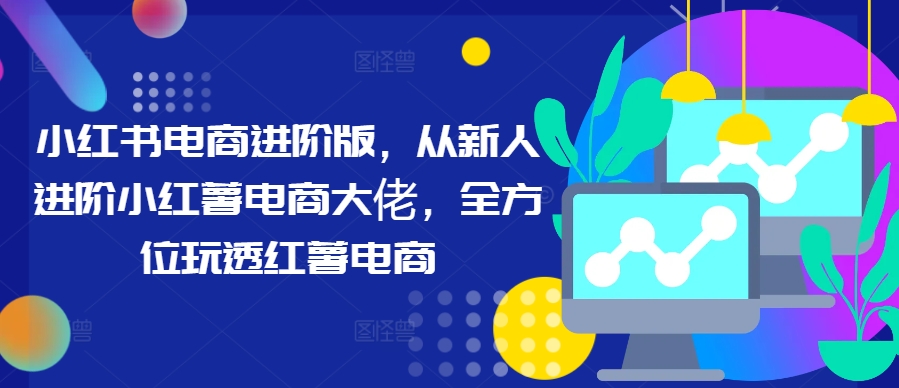 小红书电商进阶版，从新人进阶小红薯电商大佬，全方位玩透红薯电商-网创先锋