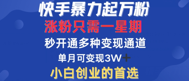 快手暴力起万粉，涨粉只需一星期，多种变现模式，直接秒开万合，单月变现过W【揭秘】-网创先锋