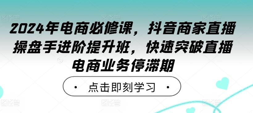 2024年电商必修课，抖音商家直播操盘手进阶提升班，快速突破直播电商业务停滞期-网创先锋