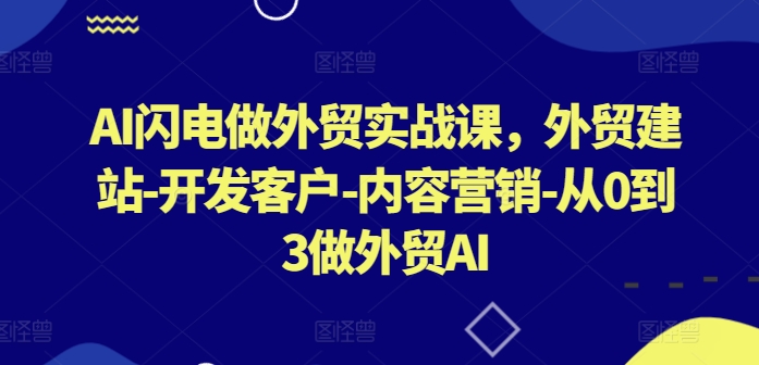 AI闪电做外贸实战课，​外贸建站-开发客户-内容营销-从0到3做外贸AI（更新）-网创先锋