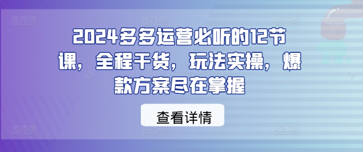 2024多多运营必听的12节课，全程干货，玩法实操，爆款方案尽在掌握-网创先锋