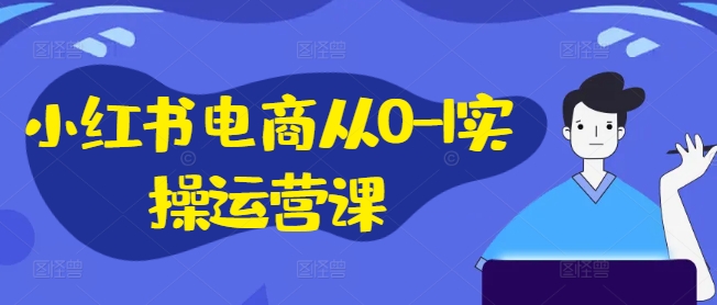 小红书电商从0-1实操运营课，小红书手机实操小红书/IP和私域课/小红书电商电脑实操板块等-网创先锋