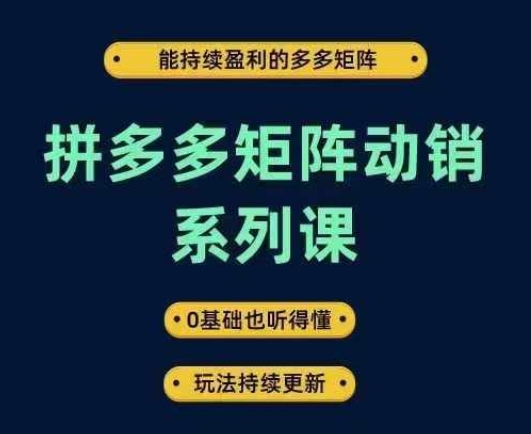 拼多多矩阵动销系列课，能持续盈利的多多矩阵，0基础也听得懂，玩法持续更新-网创先锋