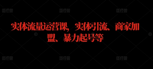 实体流量运营课，实体引流、商家加盟、暴力起号等-网创先锋