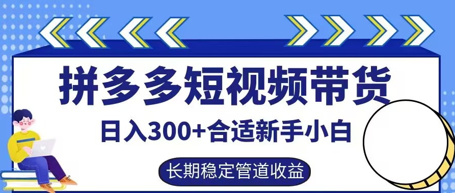 拼多多短视频带货日入300+有长期稳定被动收益，合适新手小白【揭秘】-网创先锋