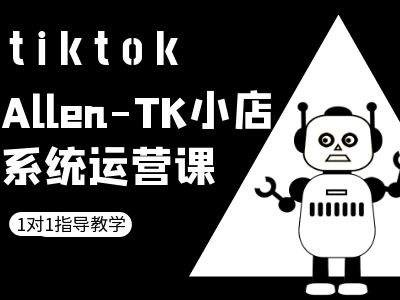 TK小店系统运营课-tiktok跨境电商教程-网创先锋