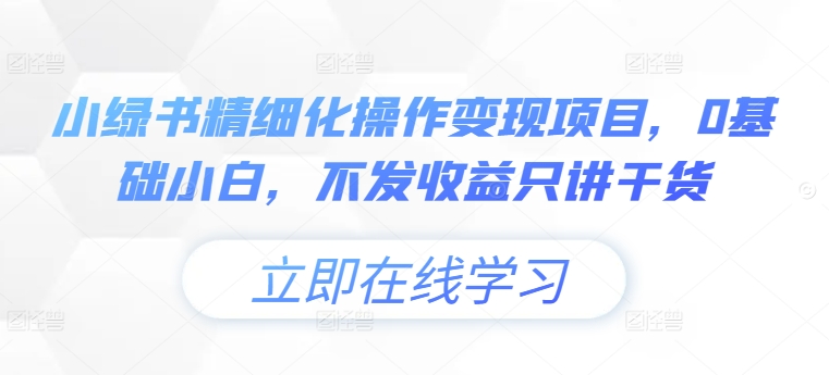 小绿书精细化操作变现项目，0基础小白，不发收益只讲干货-网创先锋