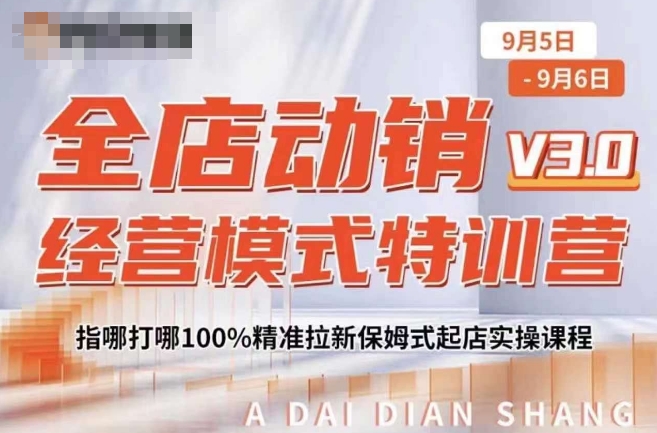 全店动销经营模式特训营，指哪打哪100%精准拉新保姆式起店实操课程-网创先锋