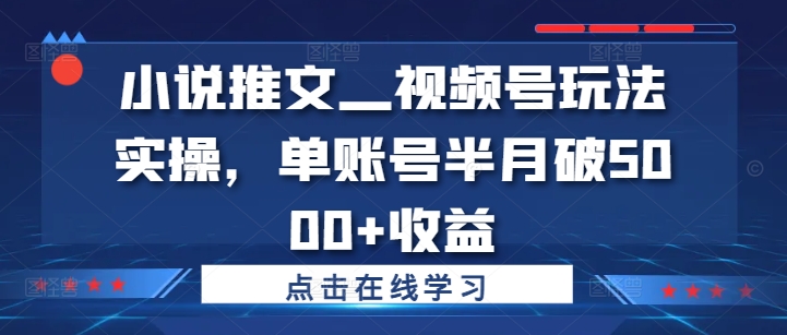 小说推文—视频号玩法实操，单账号半月破5000+收益-网创先锋