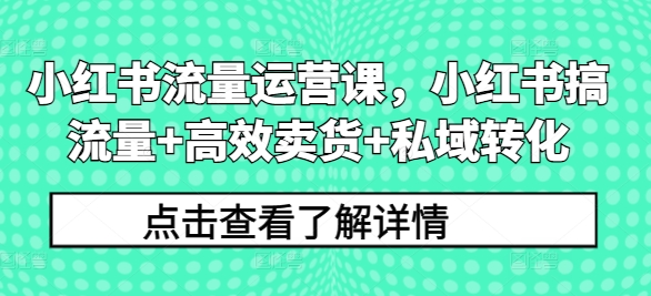 小红书流量运营课，小红书搞流量+高效卖货+私域转化-网创先锋