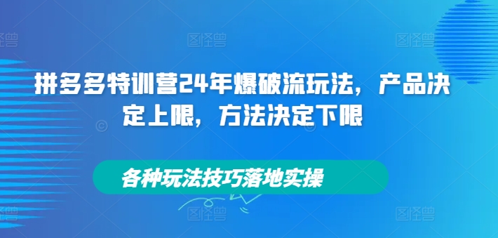 拼多多特训营24年爆破流玩法，产品决定上限，方法决定下限，各种玩法技巧落地实操-网创先锋