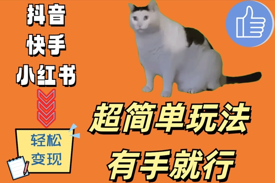 超简单玩法，有手就行，靠猫咪视频日入500+【揭秘】-网创先锋