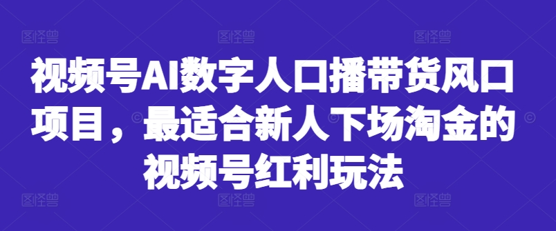 视频号AI数字人口播带货风口项目，最适合新人下场淘金的视频号红利玩法-网创先锋