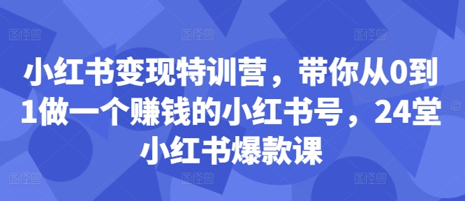 小红书变现特训营，带你从0到1做一个赚钱的小红书号，24堂小红书爆款课-网创先锋