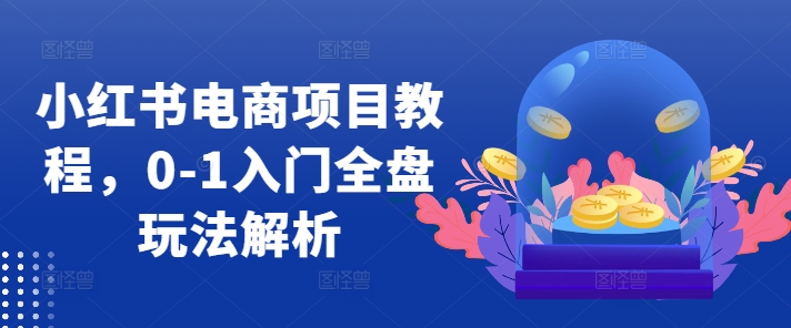 小红书电商项目教程，0-1入门全盘玩法解析-网创先锋