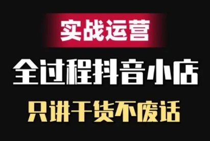 抖音小店精细化实战运营，只讲干货不废话-网创先锋