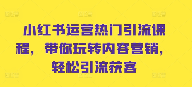 小红书运营热门引流课程，带你玩转内容营销，轻松引流获客-网创先锋