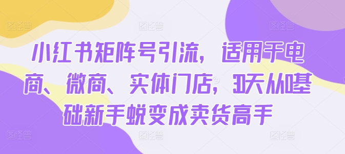 小红书矩阵号引流，适用于电商、微商、实体门店，30天从0基础新手蜕变成卖货高手-网创先锋
