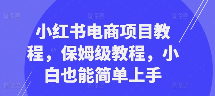 小红书电商项目教程，保姆级教程，小白也能简单上手-网创先锋